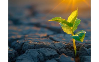 L’ESPERIENZA DELLA NASCITA NEL VIAGGIO DELLA VITA